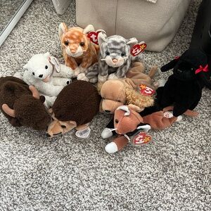 Ty Beanie Baby Lot